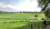 Excursión Senderismo Gulpen-Wittem - Mechelen-Gulpen ... superbe balade du printemps 2018 - Photo 8