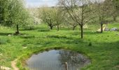 Excursión Senderismo Gulpen-Wittem - Mechelen-Gulpen ... superbe balade du printemps 2018 - Photo 7