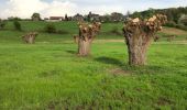 Tour Wandern Gulpen-Wittem - Mechelen-Gulpen ... superbe balade du printemps 2018 - Photo 5