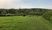 Tour Wandern Gulpen-Wittem - Mechelen-Gulpen ... superbe balade du printemps 2018 - Photo 3