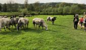 Trail Walking Gulpen-Wittem - Mechelen-Gulpen ... superbe balade du printemps 2018 - Photo 2