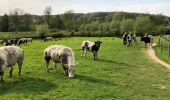 Tocht Stappen Gulpen-Wittem - Mechelen-Gulpen ... superbe balade du printemps 2018 - Photo 1