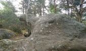 Trail Walking Fontainebleau - SVG 180422 - Isatis - Photo 5