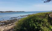 Tocht Stappen La Trinité-sur-Mer - La Trinité sur mer - Photo 3