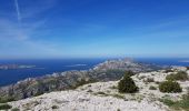 Trail Walking Marseille - Luminy Tour du Mont Puget  - Photo 10