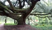 Excursión Senderismo Sceaux - Brimborion sans Sellier - Photo 10