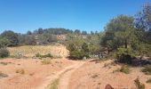 Excursión Bici de montaña Castelnau-de-Guers - VTT - Tour étendoirs des fées  - Photo 4