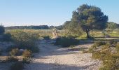 Excursión Bici de montaña Castelnau-de-Guers - VTT - Tour étendoirs des fées  - Photo 3