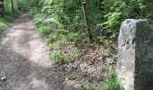 Trail Walking Montigny-sur-Loing - 2018 04 27 2 - Photo 3