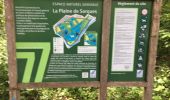 Tour Wandern Montigny-sur-Loing - 2018 04 27 2 - Photo 2