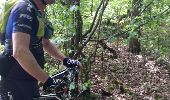 Trail Mountain bike Vitrimont - sortie vtt du 27042018 vitrimont  - Photo 6