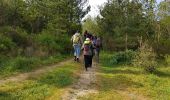 Tour Wandern Barbâtre - Noirmoutier pointe sud - Photo 7