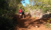 Trail Walking Dumbéa - Marmites du diable - Photo 18