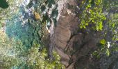 Randonnée Marche Dumbéa - Marmites du diable - Photo 10