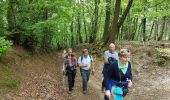 Trail Walking Gulpen-Wittem - Magalanus - Photo 3