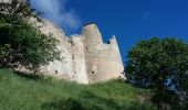 Randonnée Marche Gréoux-les-Bains - Gréoux - Les Thermes - Le barrage - Le château des Templiers - Photo 6