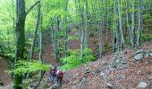 Trail Walking Rosis - Arsel 23-4-18  de vandabre en passant par le col de l'ourtegas - Photo 4