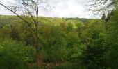 Tour Wandern Esneux - bouclé gr576 mery . beaufays . dolembreux . hautgné . mery - Photo 2