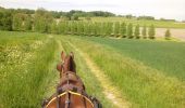 Tocht Paard Chatenet - Peuchauvet Coteaux de Sousmoulins - Photo 3