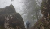 Trail Walking Autrans-Méaudre en Vercors - La Ferme de Fessole par le Pas de Pierre Taillée  et le Pas de Montbrand - Photo 2