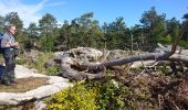 Tocht Stappen Arbonne-la-Forêt - SVG 180502 - Photo 8