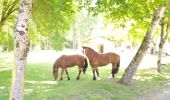 Tocht Paard Chatenet - Peuchauvet Bran - Photo 1