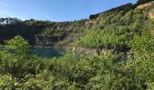 Trail Walking Saint-Senoux - 04.05.2018 corrigé - De ST Senoux à ST Malo de Phily - Photo 5