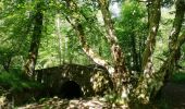 Randonnée Autre activité Le Perray-en-Yvelines - vaux de cernay - Photo 20