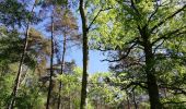 Excursión Otra actividad Le Perray-en-Yvelines - vaux de cernay - Photo 19