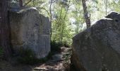 Randonnée Autre activité Le Perray-en-Yvelines - vaux de cernay - Photo 16