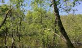 Randonnée Autre activité Le Perray-en-Yvelines - vaux de cernay - Photo 13