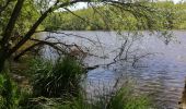 Excursión Otra actividad Le Perray-en-Yvelines - vaux de cernay - Photo 12