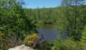 Randonnée Autre activité Le Perray-en-Yvelines - vaux de cernay - Photo 11