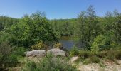 Excursión Otra actividad Le Perray-en-Yvelines - vaux de cernay - Photo 10