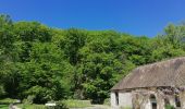 Randonnée Autre activité Le Perray-en-Yvelines - vaux de cernay - Photo 8