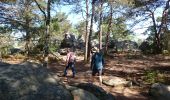 Trail Walking Fontainebleau - 180505 EnCours - Photo 10