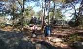 Tocht Stappen Fontainebleau - 180505 EnCours - Photo 10