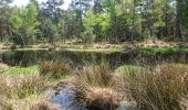 Trail Walking Fontainebleau - 180505 EnCours - Photo 9