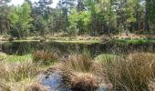 Excursión Senderismo Fontainebleau - 180505 EnCours - Photo 9