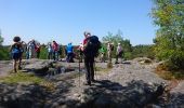 Percorso Marcia Fontainebleau - 180505 EnCours - Photo 2