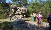 Trail Walking Fontainebleau - 180505 EnCours - Photo 1