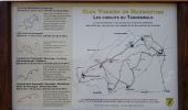 Tour Wandern Maursmünster - Marmoutier et forêt du Tannenwald - Photo 8