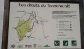 Trail Walking Marmoutier - Marmoutier et forêt du Tannenwald - Photo 3