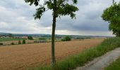 Tour Fahrrad Ronse - Wittentak - Genets - Photo 1