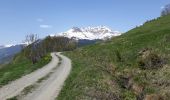 Trail Walking La Plagne-Tarentaise - Les Fours  - Photo 8