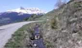 Trail Walking La Plagne-Tarentaise - Les Fours  - Photo 7
