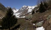 Trail Walking La Plagne-Tarentaise - Les Fours  - Photo 2