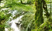 Trail Walking Les Planches-près-Arbois - Les bèlvédères de la reculée des Planches - Photo 19