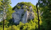 Tour Wandern Les Planches-près-Arbois - Les bèlvédères de la reculée des Planches - Photo 16