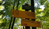 Tocht Stappen Les Planches-près-Arbois - Les bèlvédères de la reculée des Planches - Photo 15